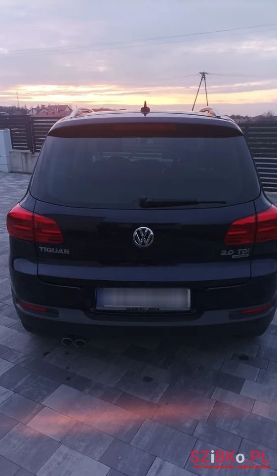 2012' Volkswagen Tiguan photo #5
