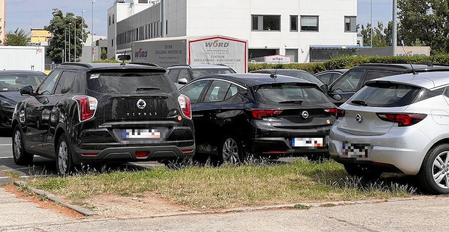 Za takie blachy możesz trafić do więzienia nawet na 5 lat. Lepiej je sprawdź, jeśli masz używane auto