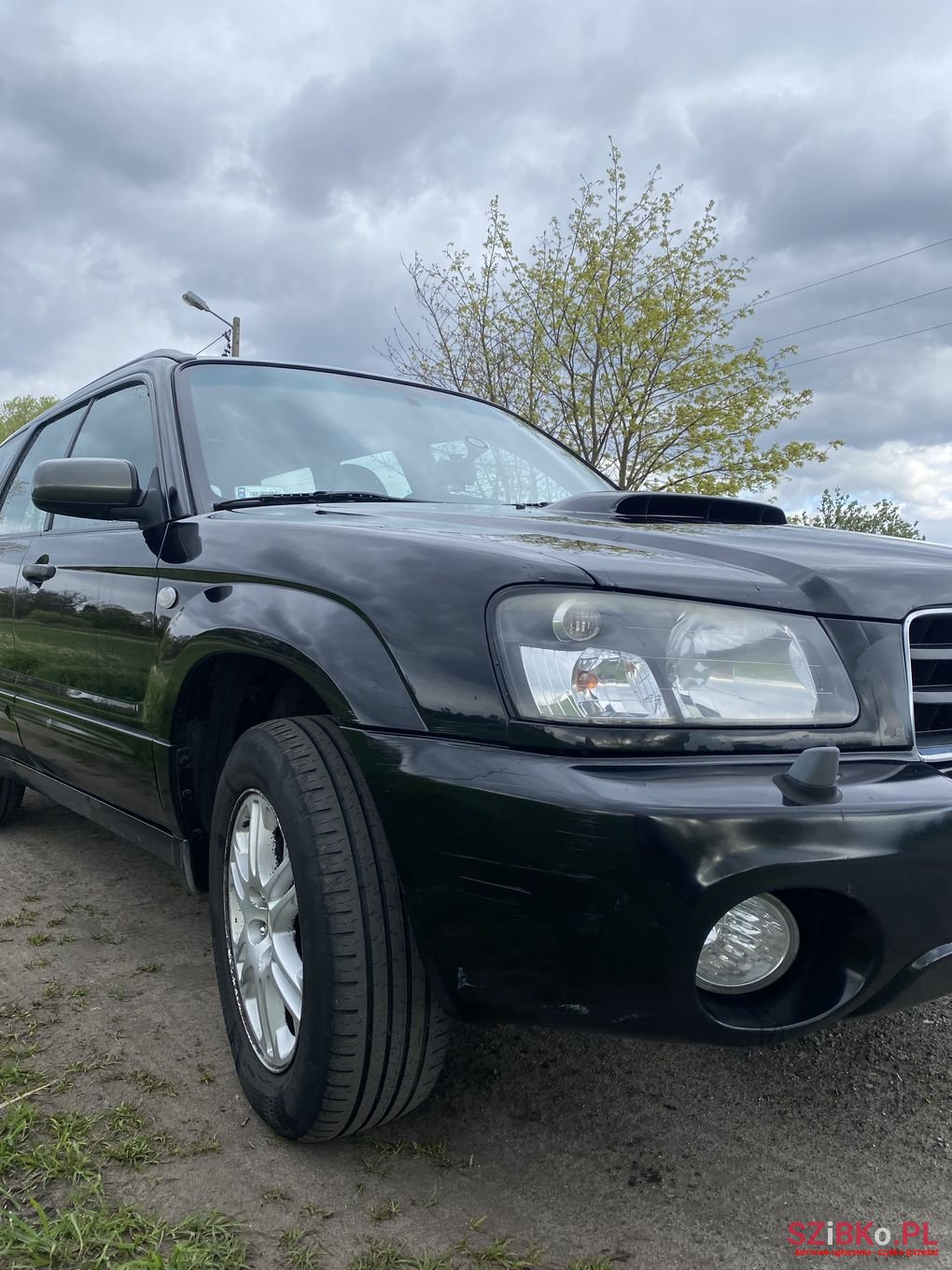 2005' Subaru Forester photo #4