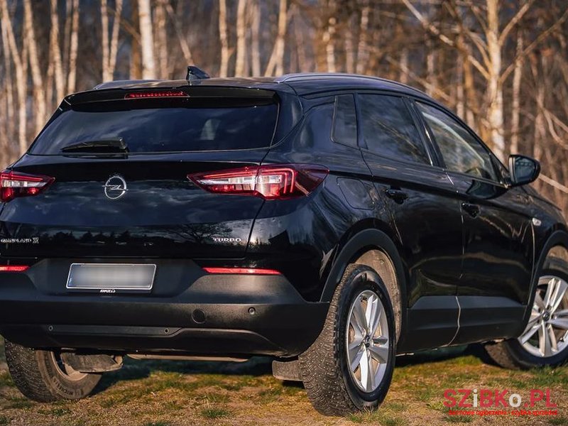 2018' Opel Grandland X photo #6