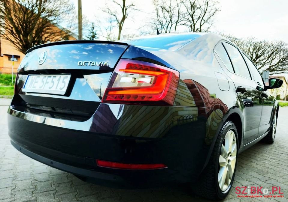 2019' Skoda Octavia photo #6