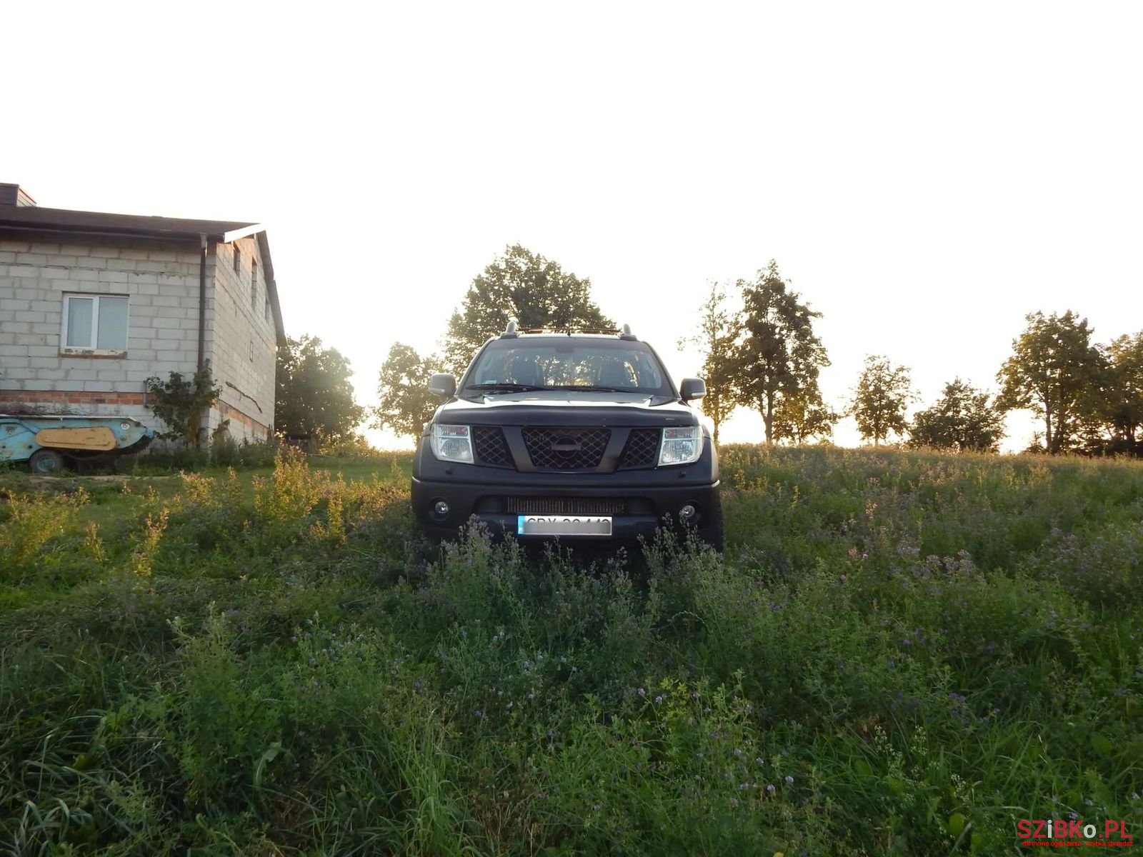 2007' Nissan Navara photo #2