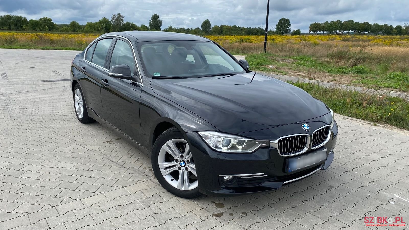 2012' BMW 3 Series photo #5