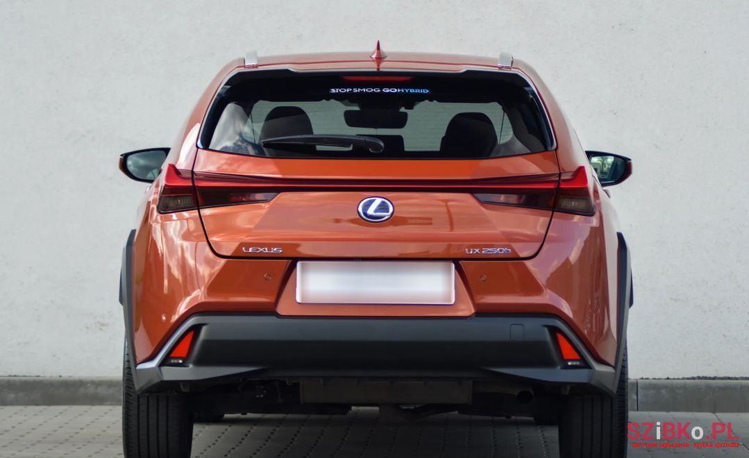 2019' Lexus UX photo #6