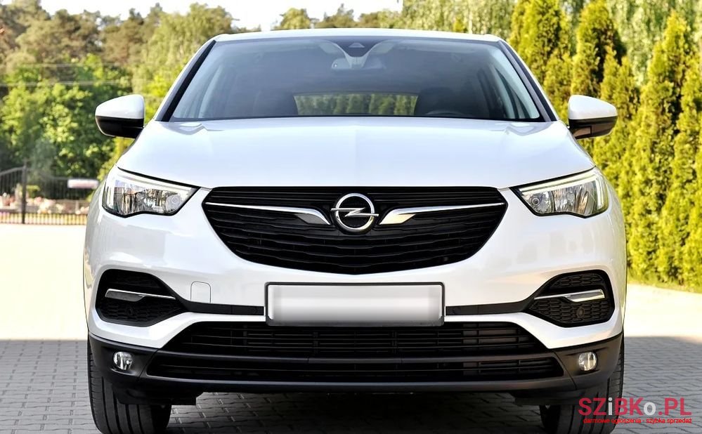 2018' Opel Grandland X photo #3