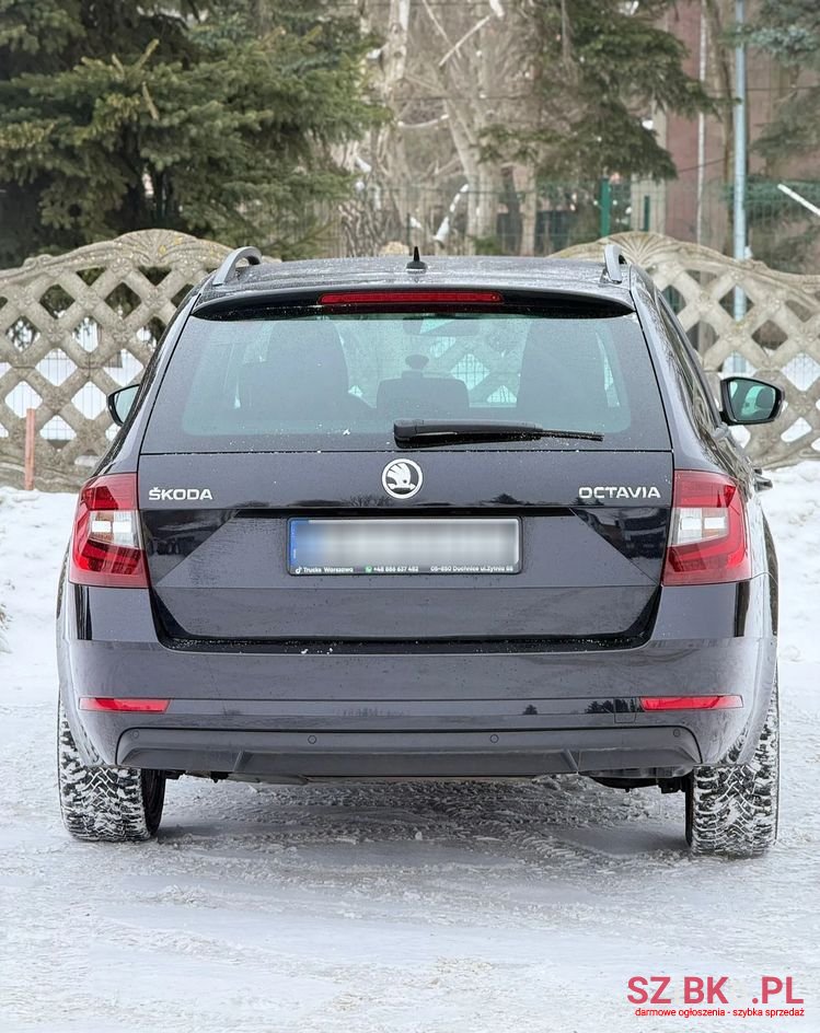 2019' Skoda Octavia photo #6