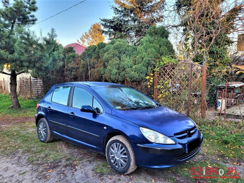 2002' Peugeot 307 photo #2