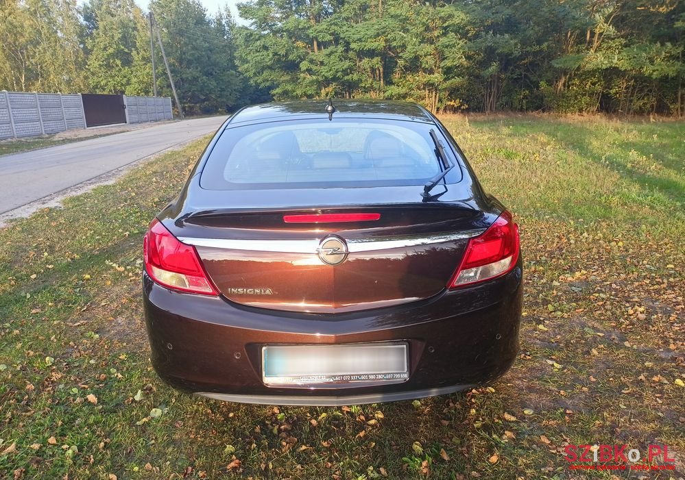2010' Opel Insignia photo #2
