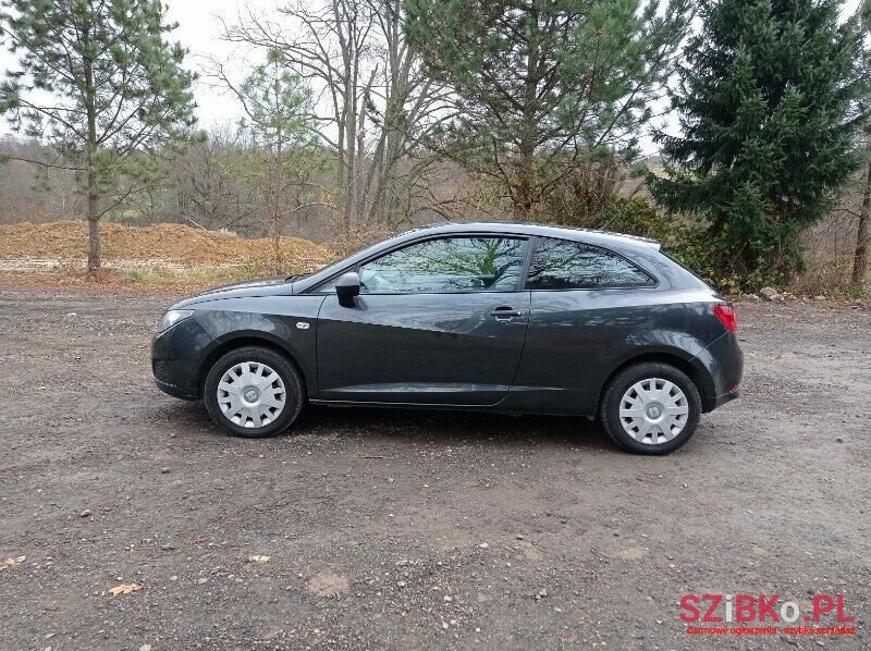 2009' SEAT Ibiza photo #3