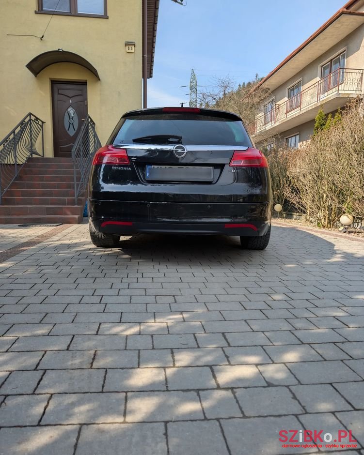 2010' Opel Insignia photo #6