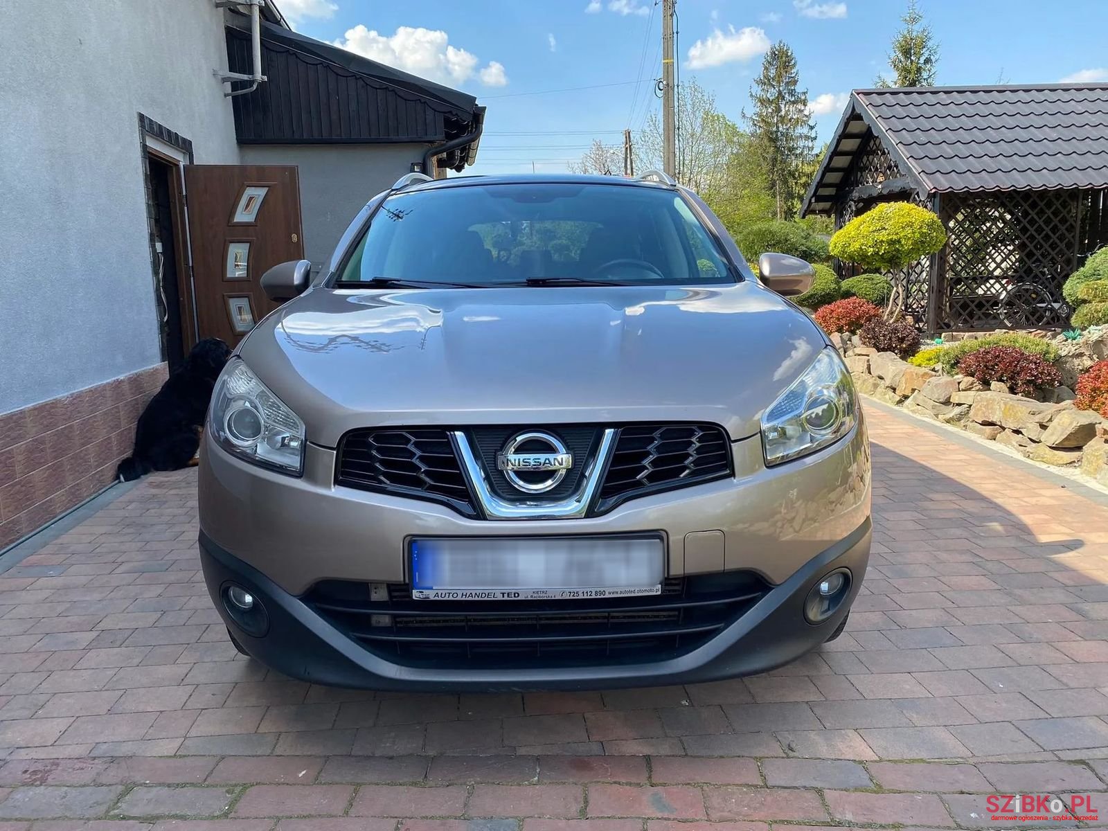 2010' Nissan Qashqai photo #2