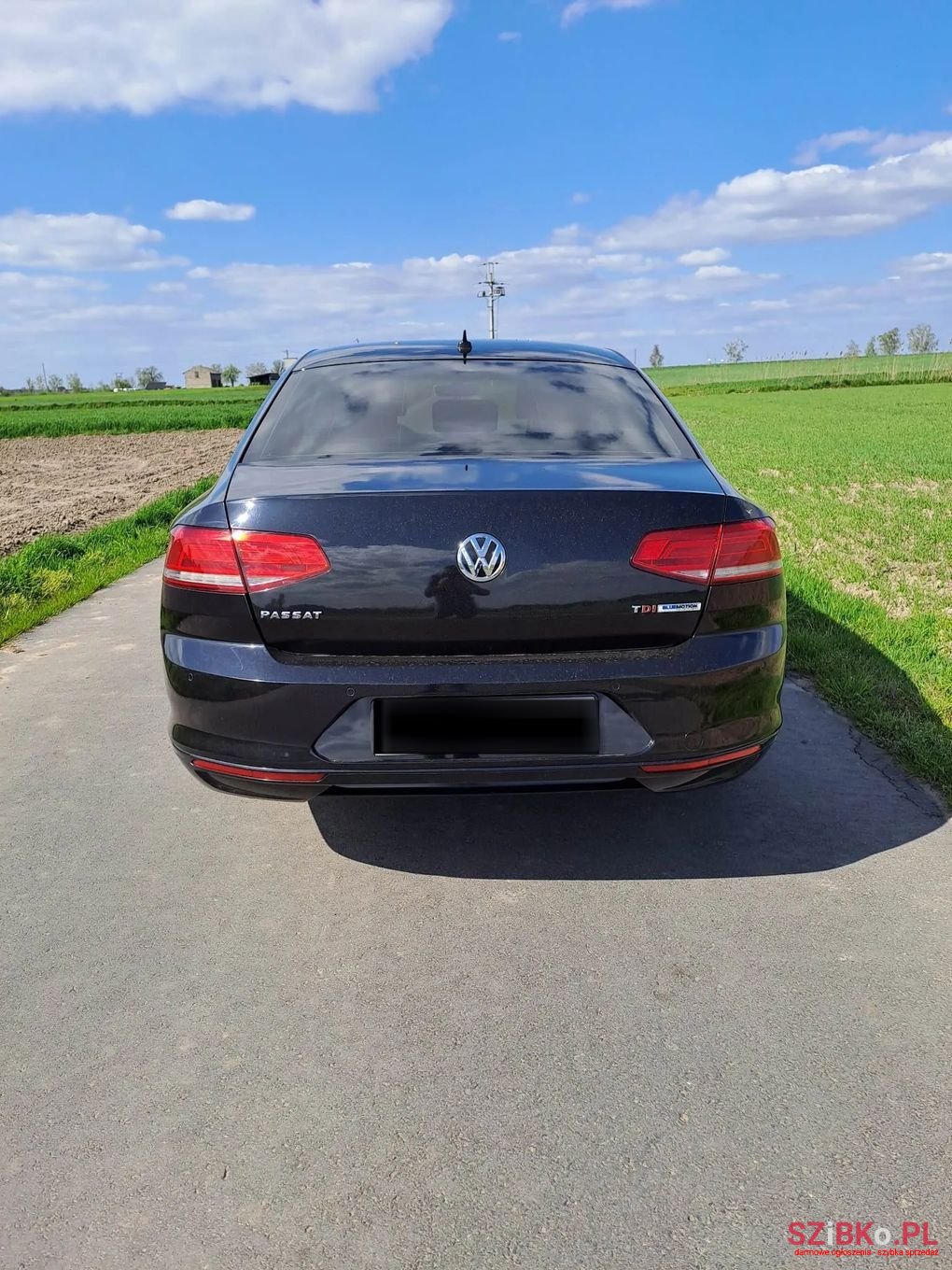 2015' Volkswagen Passat photo #6