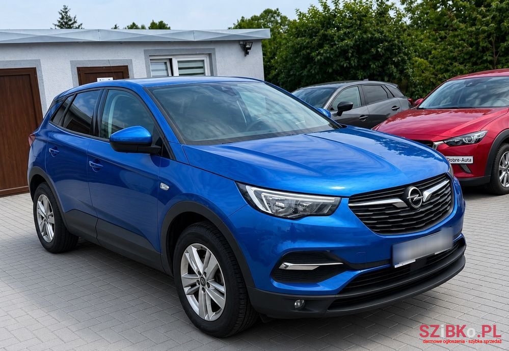2019' Opel Grandland X photo #2