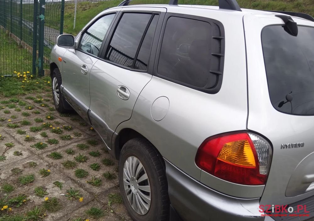 2004' Hyundai Santa Fe photo #2