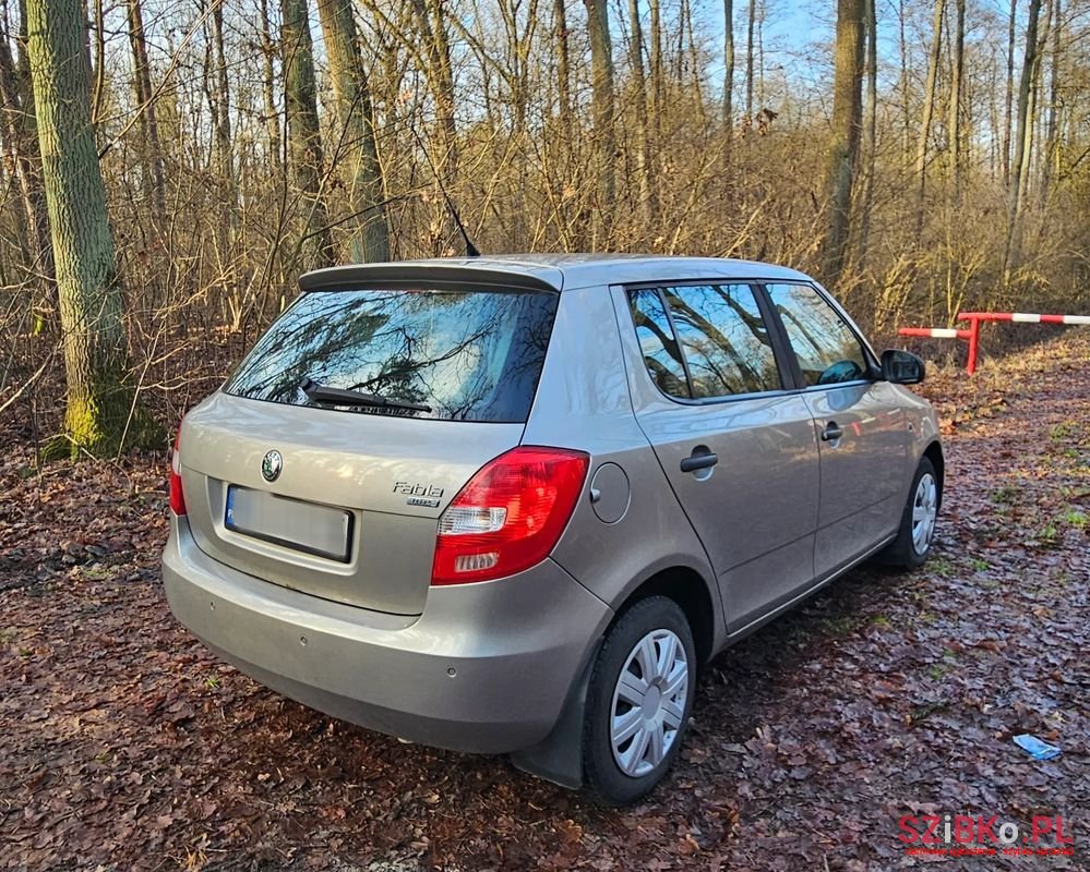 2008' Skoda Fabia 1.2 12V Comfort photo #2