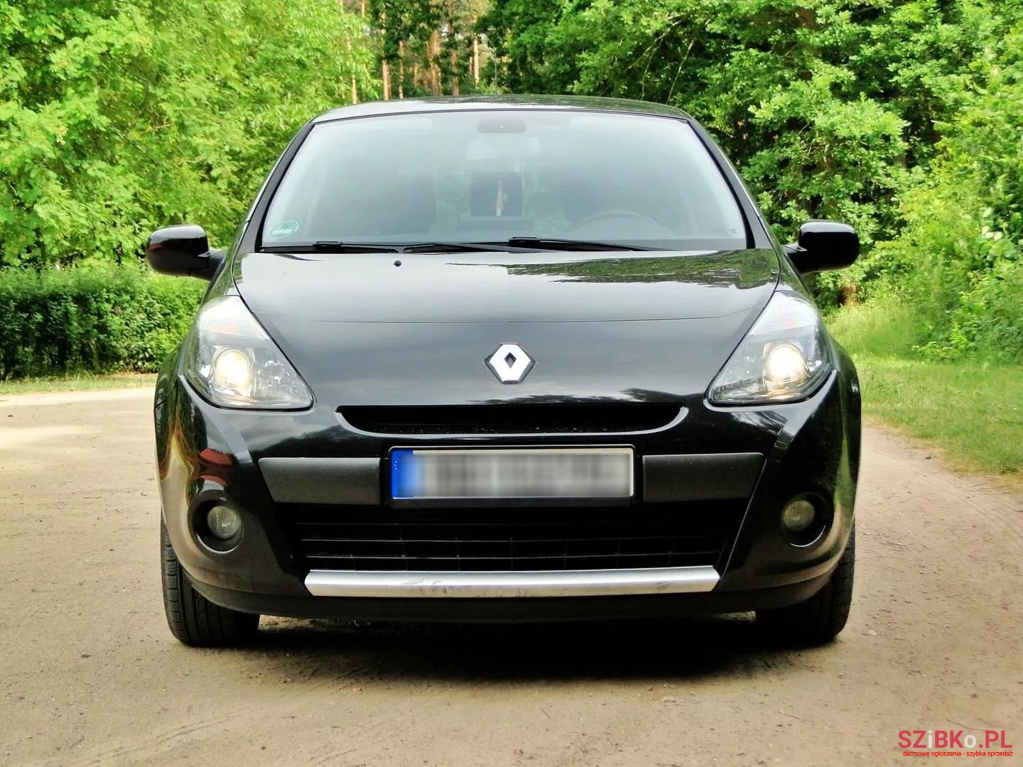 2009' Renault Clio photo #3