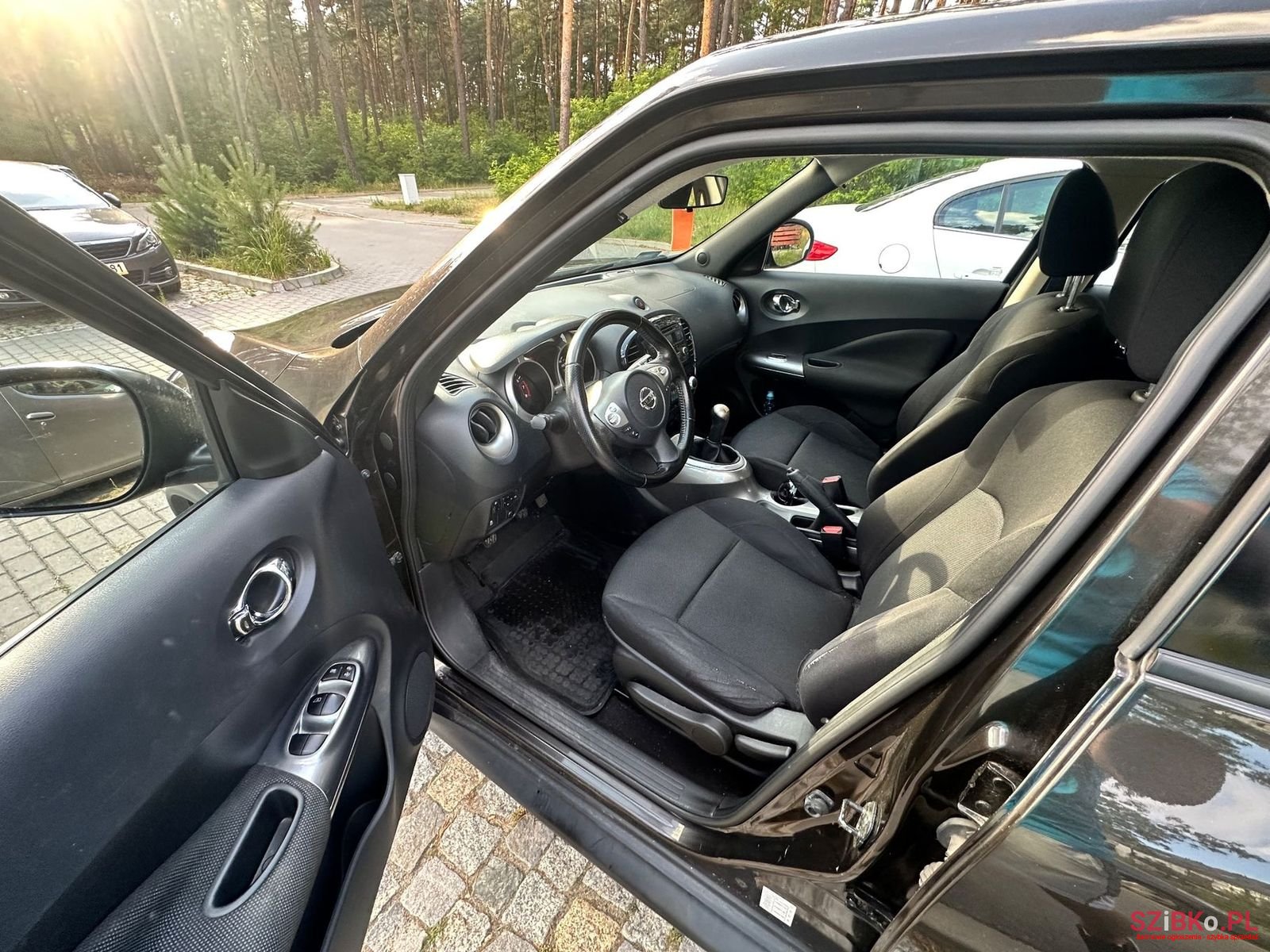 2010' Nissan Juke photo #5