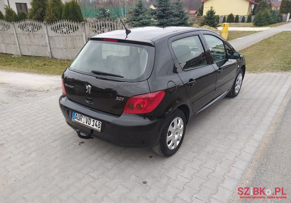 2003' Peugeot 307 photo #4