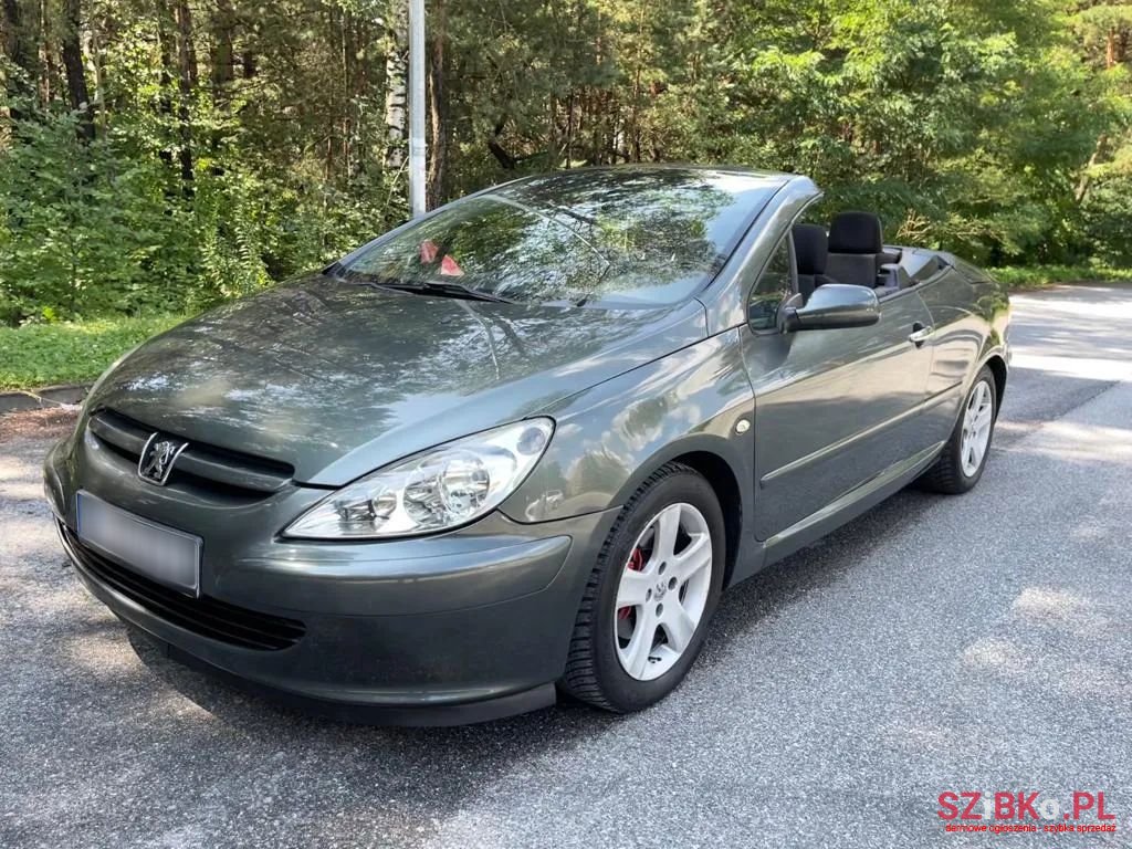 2004' Peugeot 307 photo #2