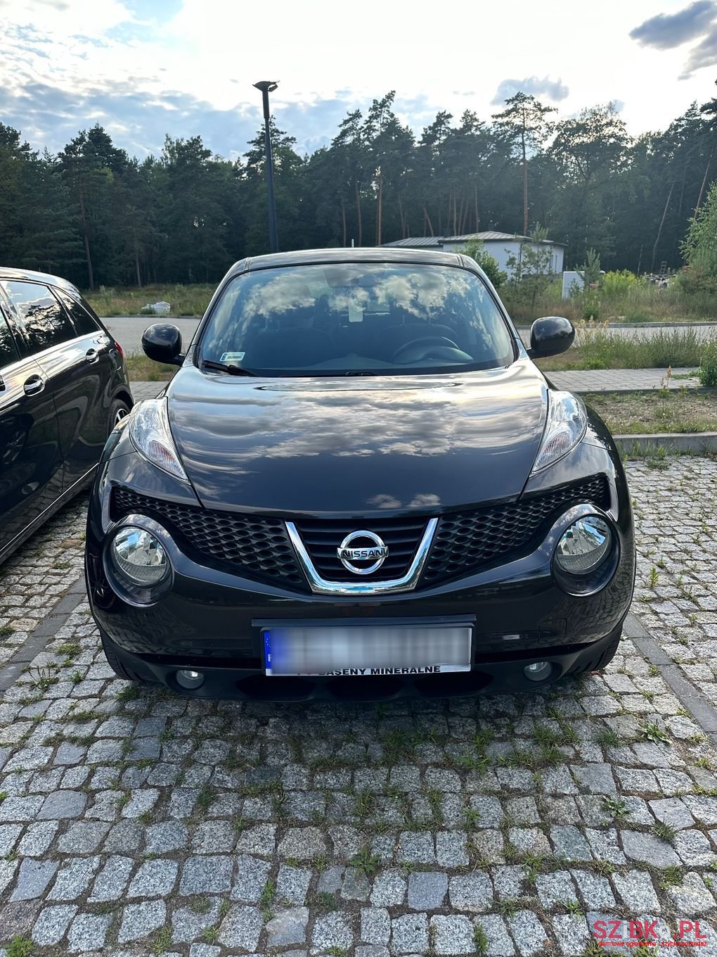 2010' Nissan Juke photo #1