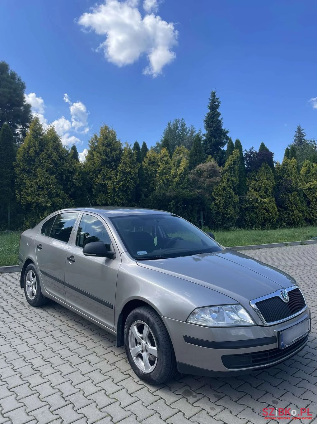 2012' Skoda Octavia photo #1