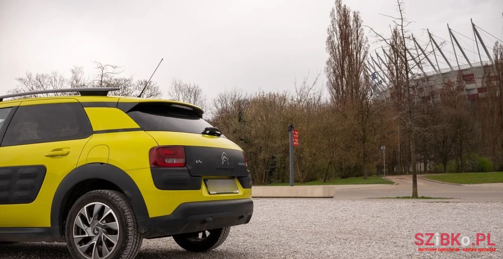 2018' Citroen C4 Cactus photo #5