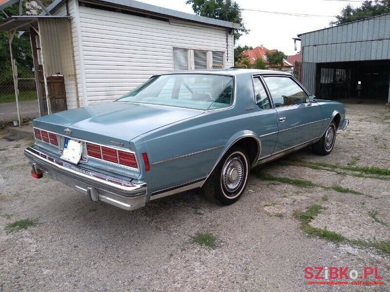 1979' Chevrolet Caprice photo #2