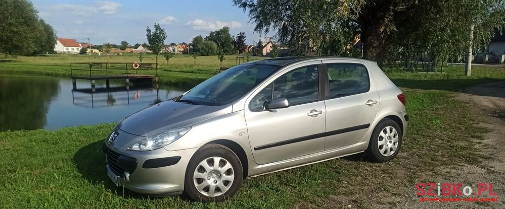 2005' Peugeot 307 photo #4