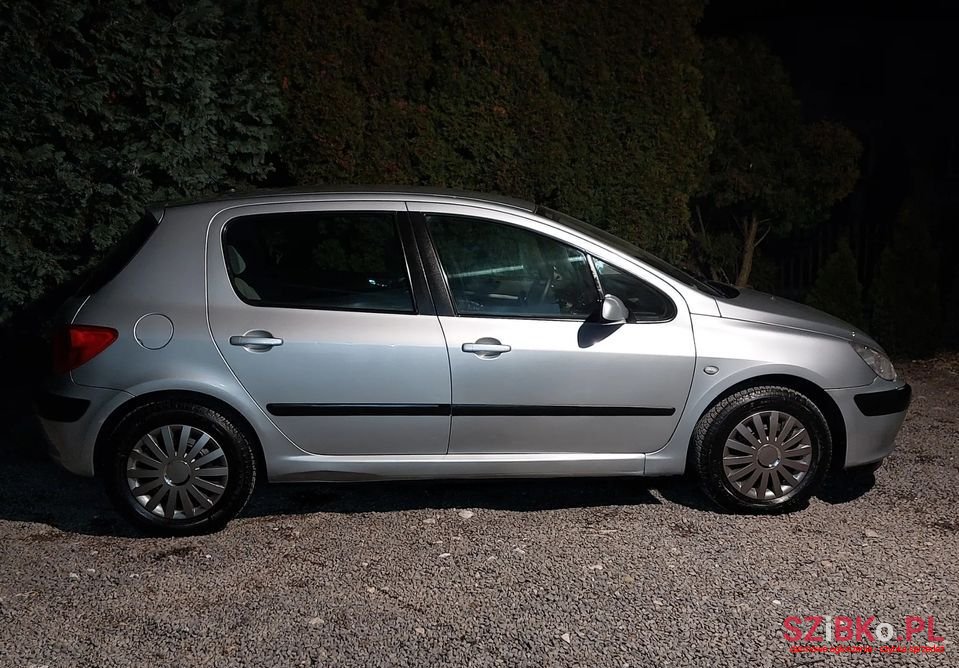 2003' Peugeot 307 photo #4