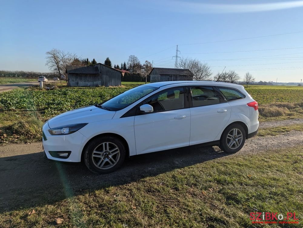 2014' Ford Focus photo #2