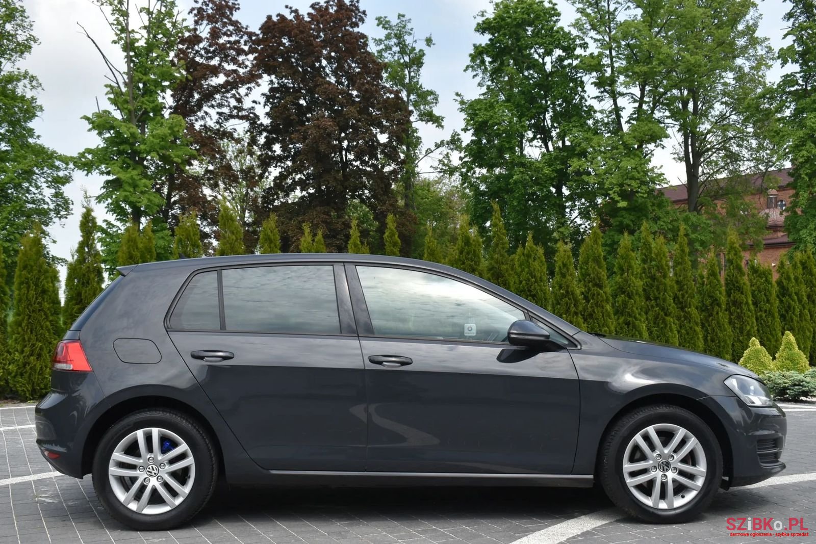 2013' Volkswagen Golf photo #2