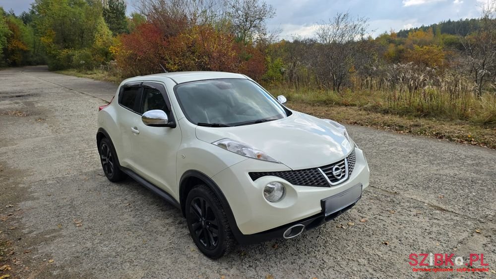 2010' Nissan Juke 1.6 T Tekna 4X4 photo #1