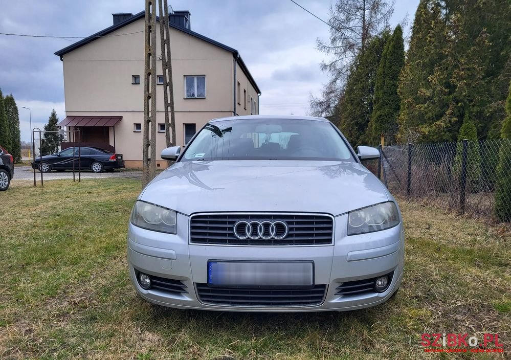 2003' Audi A3 1.6 Attraction photo #4