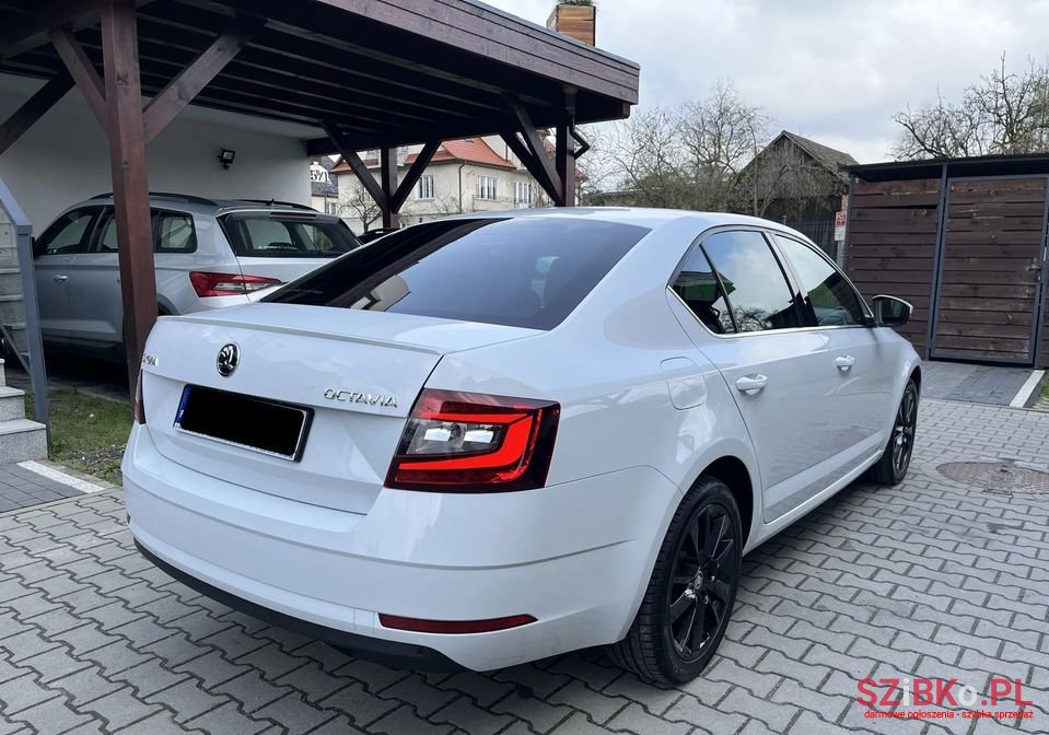 2019' Skoda Octavia photo #6