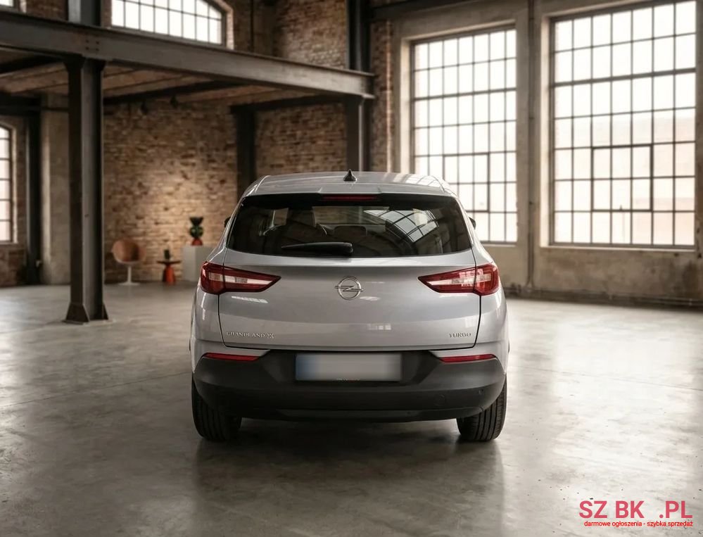 2018' Opel Grandland X photo #5