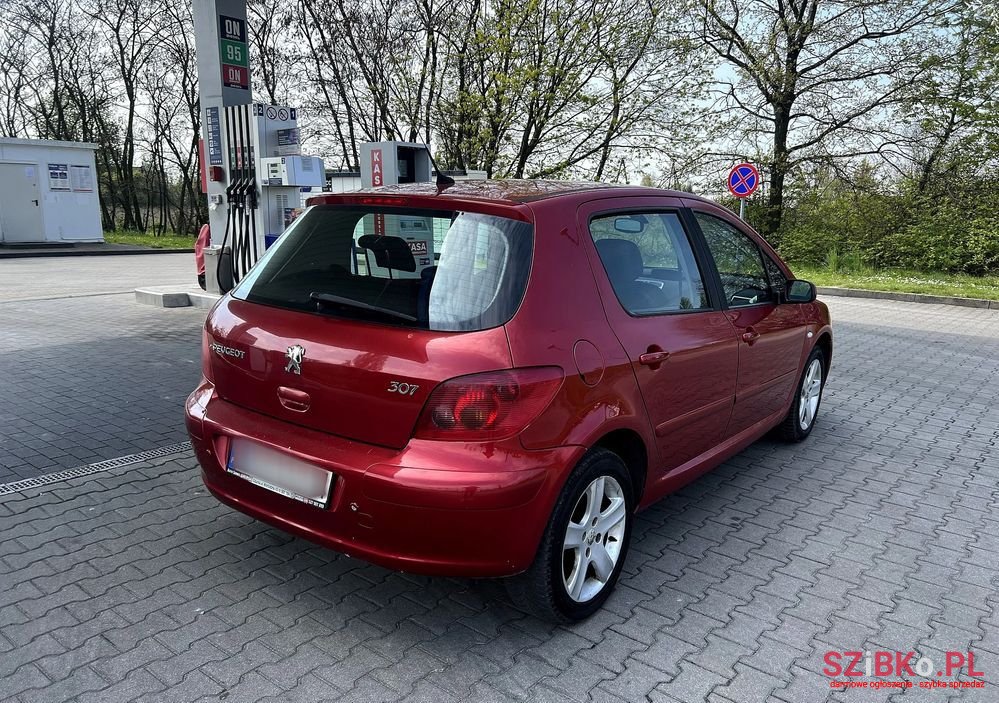 2003' Peugeot 307 photo #6