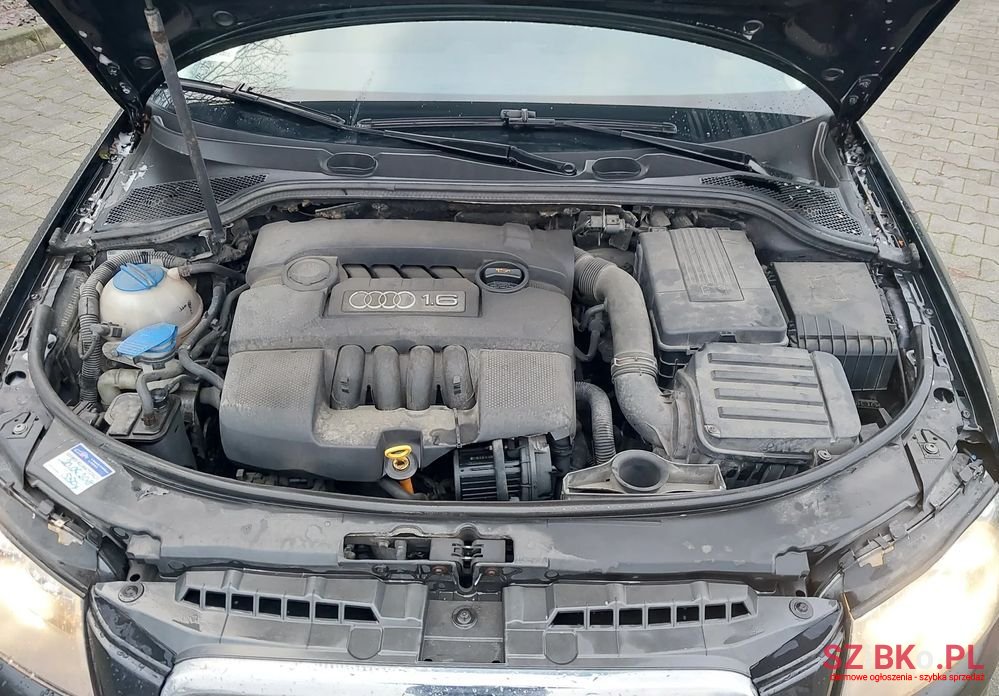 2003' Audi A3 1.6 Ambition photo #6