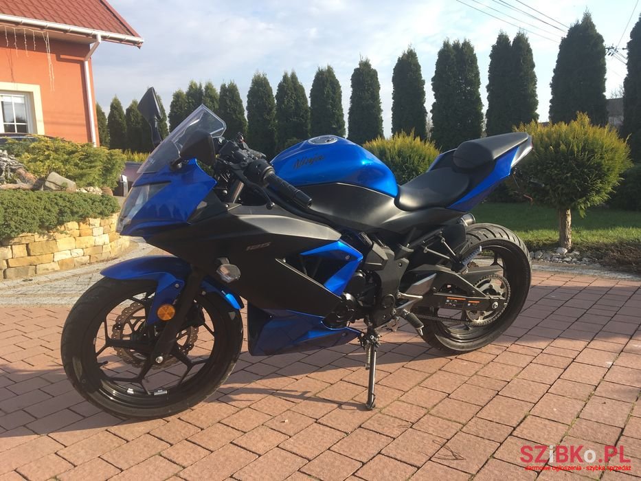 2020' Kawasaki photo #1