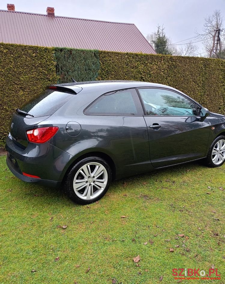 2010' SEAT Ibiza photo #3