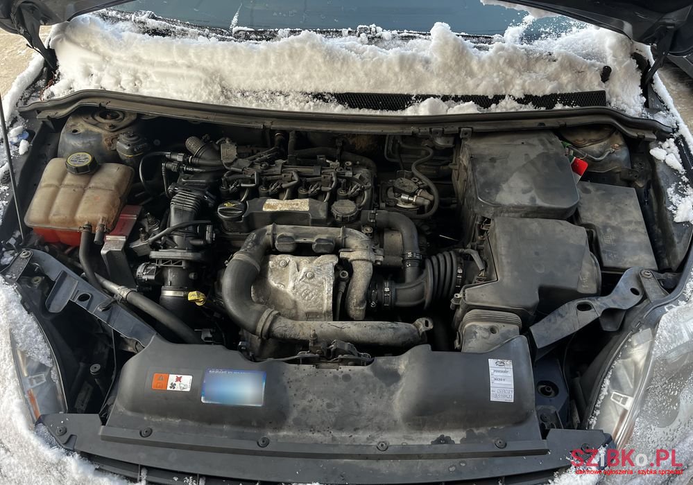 2010' Ford Focus photo #5