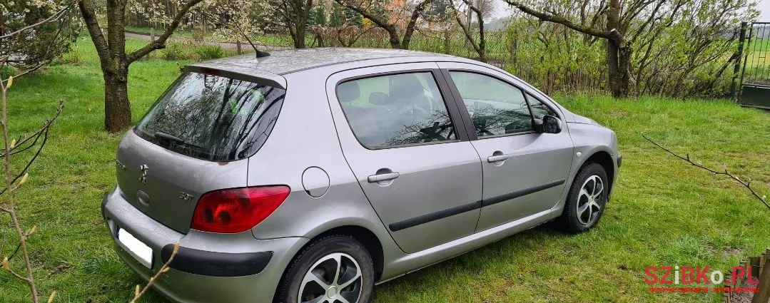 2003' Peugeot 307 photo #4