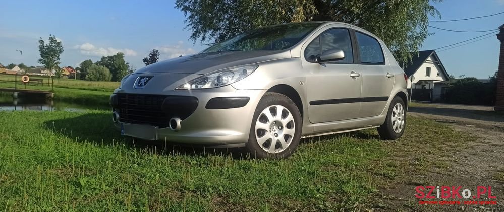 2005' Peugeot 307 photo #1