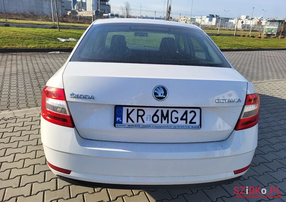 2019' Skoda Octavia photo #4