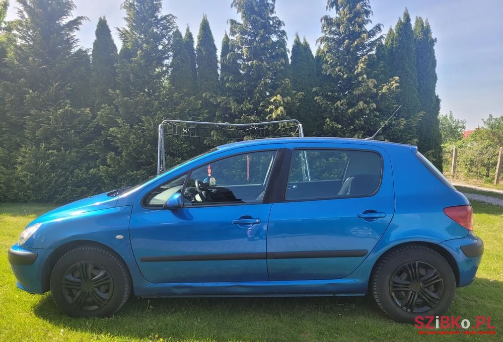 2003' Peugeot 307 photo #4