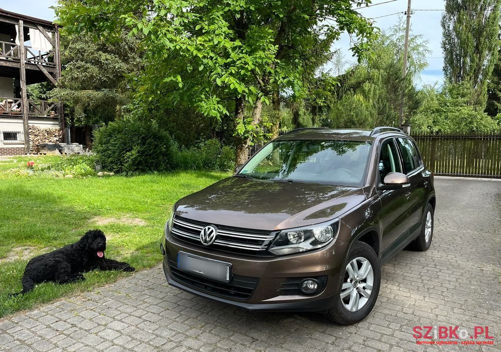 2012' Volkswagen Tiguan photo #4