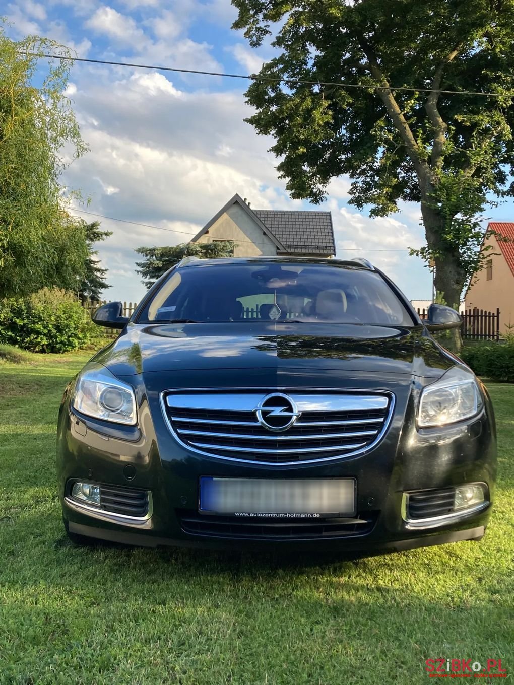 2012' Opel Insignia photo #2