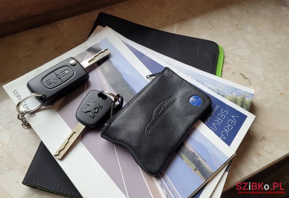 2010' Peugeot 207 photo #6