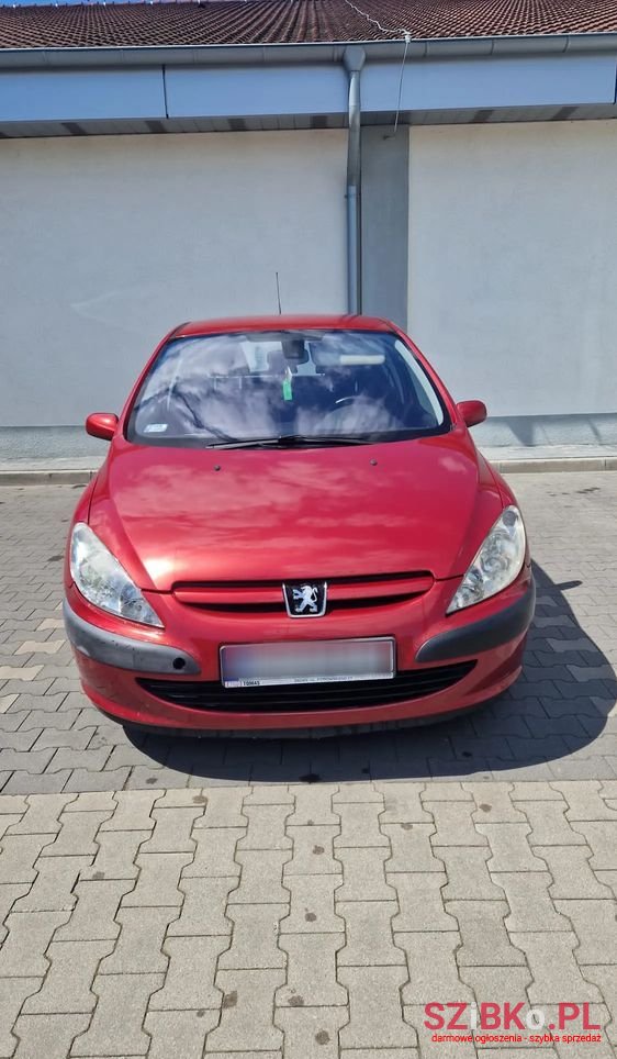 2003' Peugeot 307 1.6 photo #1