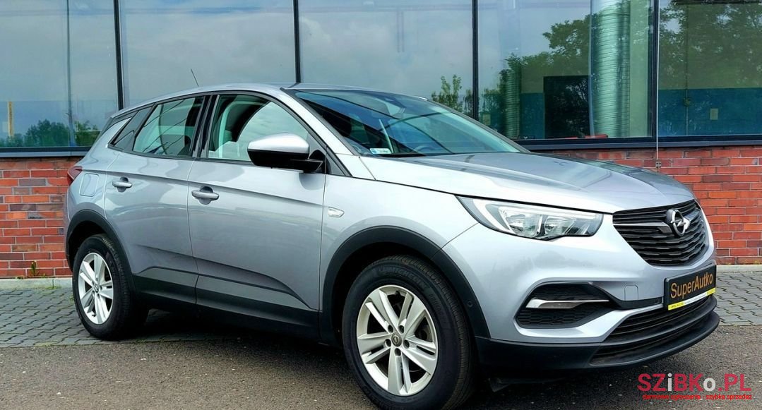 2019' Opel Grandland X photo #1
