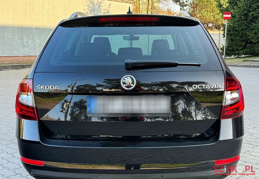 2019' Skoda Octavia photo #4